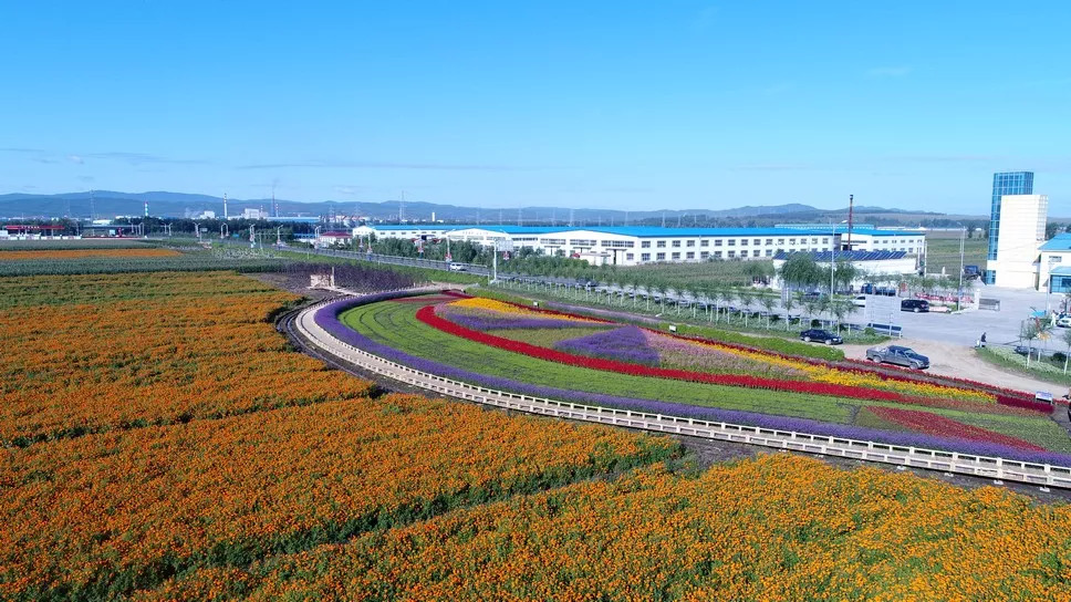 勃利县最新贴吧,学习改变命运,自信铸就辉煌之路