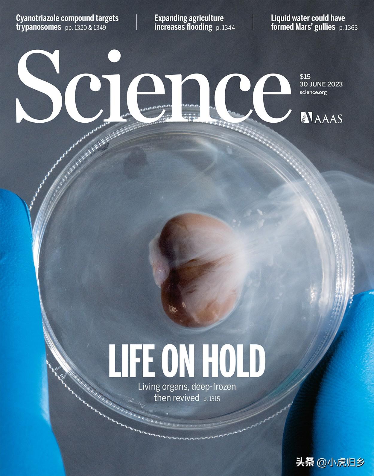 最新图片展示，时尚、艺术与自然美景的探索