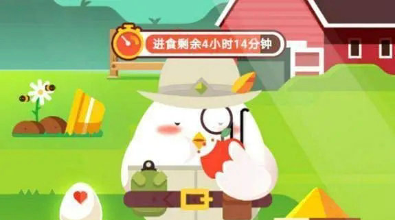 庄园小课堂最新答案揭秘,最新答案大公开!