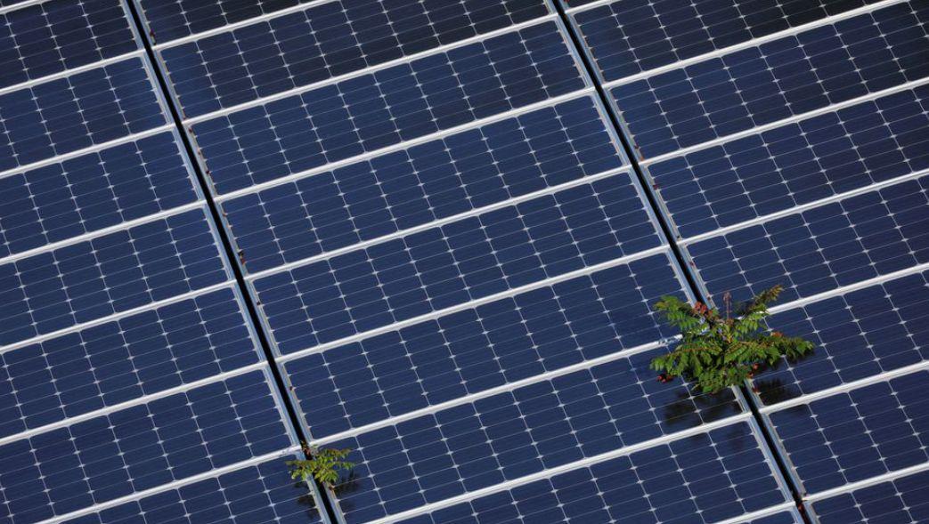 晶科科技光伏最新,晶科科技光伏最新发展动态及其影响,一种观点分析