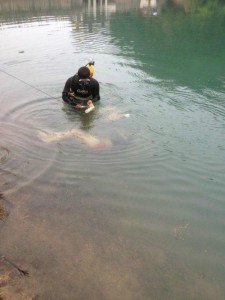 溺亡女孩事件最新进展,水边夏日回忆的悲痛回忆