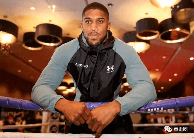 约书亚拳击最新战报,友情与陪伴的感人篇章
