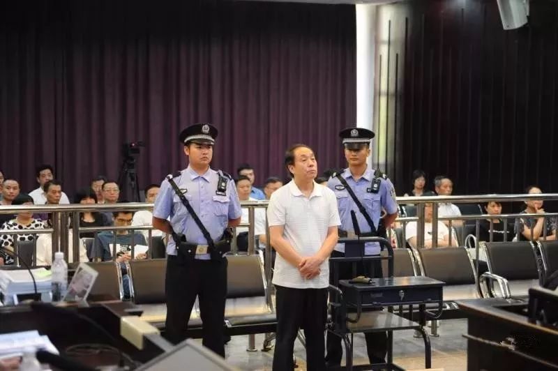 刘运武最新动态,学习之路上的闪耀之星