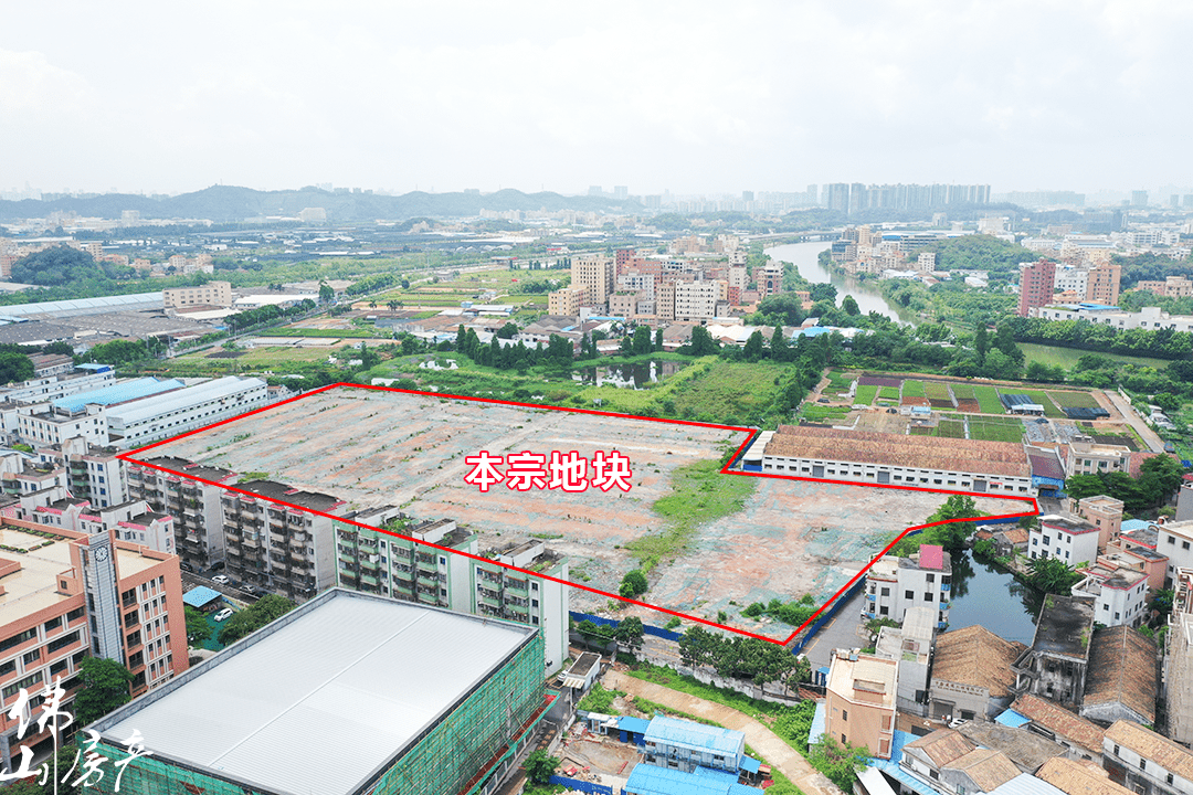 平洲最新动态更新