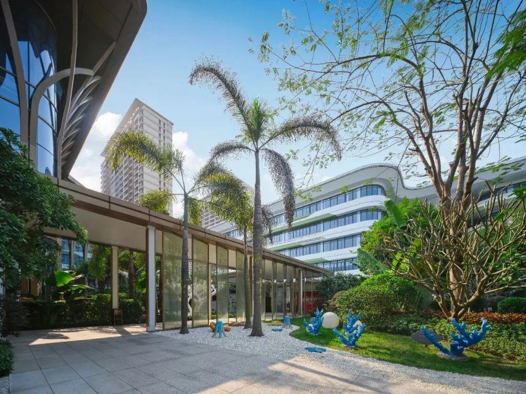 安家最新一期揭秘,小巷中的特色小店,惊喜连连!