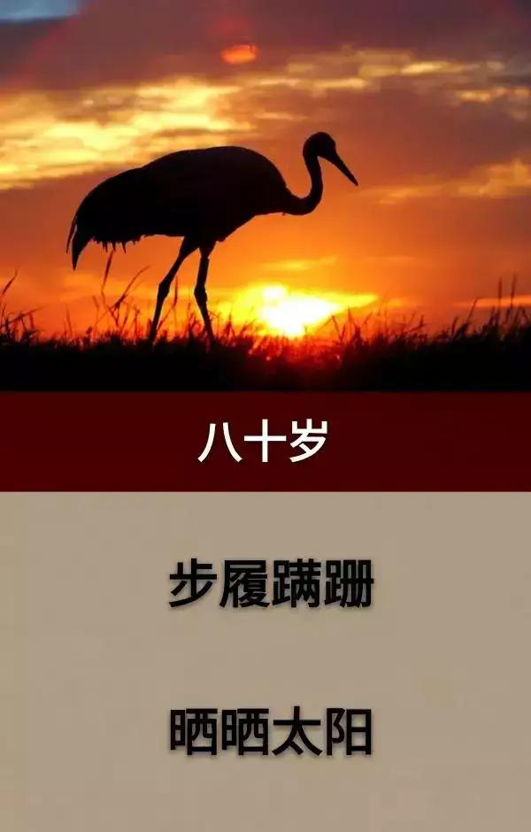 最新人生顺口溜,最新人生顺口溜,时代的记忆与文化的印记