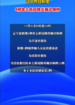 辽宁肺炎病例最新情况,辽宁的肺炎病例与温馨的日常故事