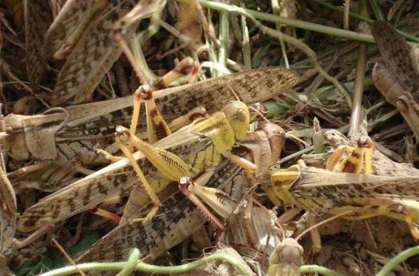 市政设施管理 第260页