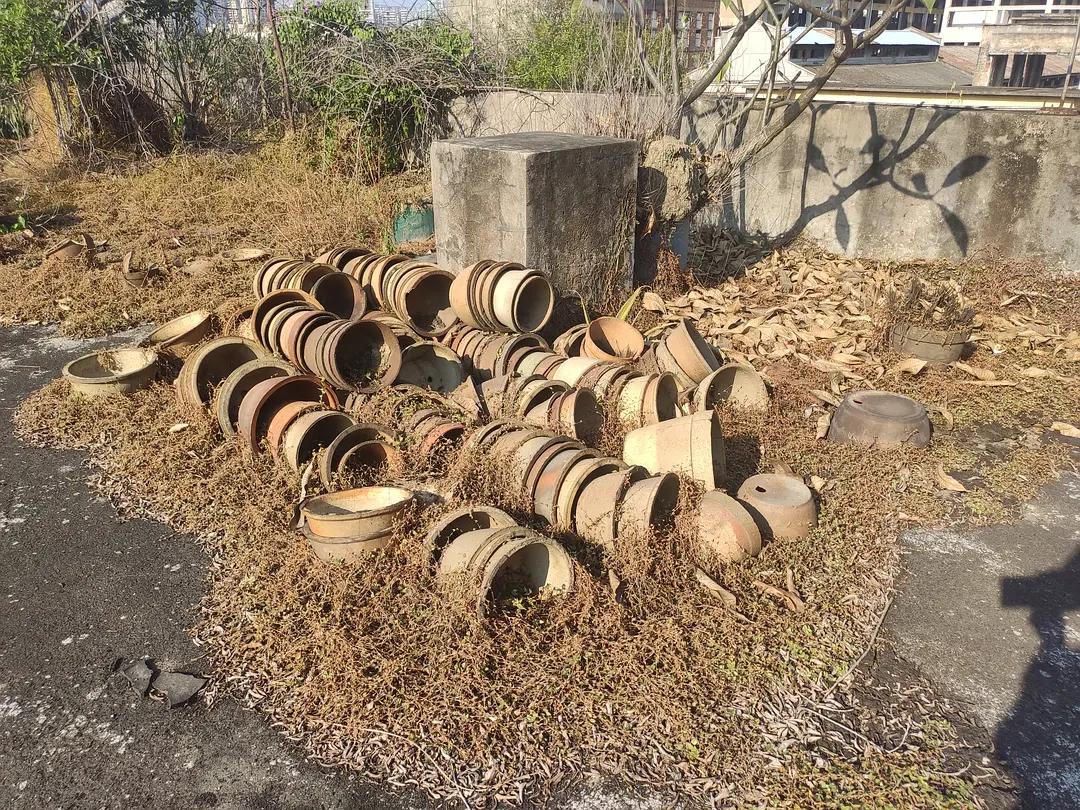 印染厂最新情况,印染厂最新情况之探讨,绿色发展的视角