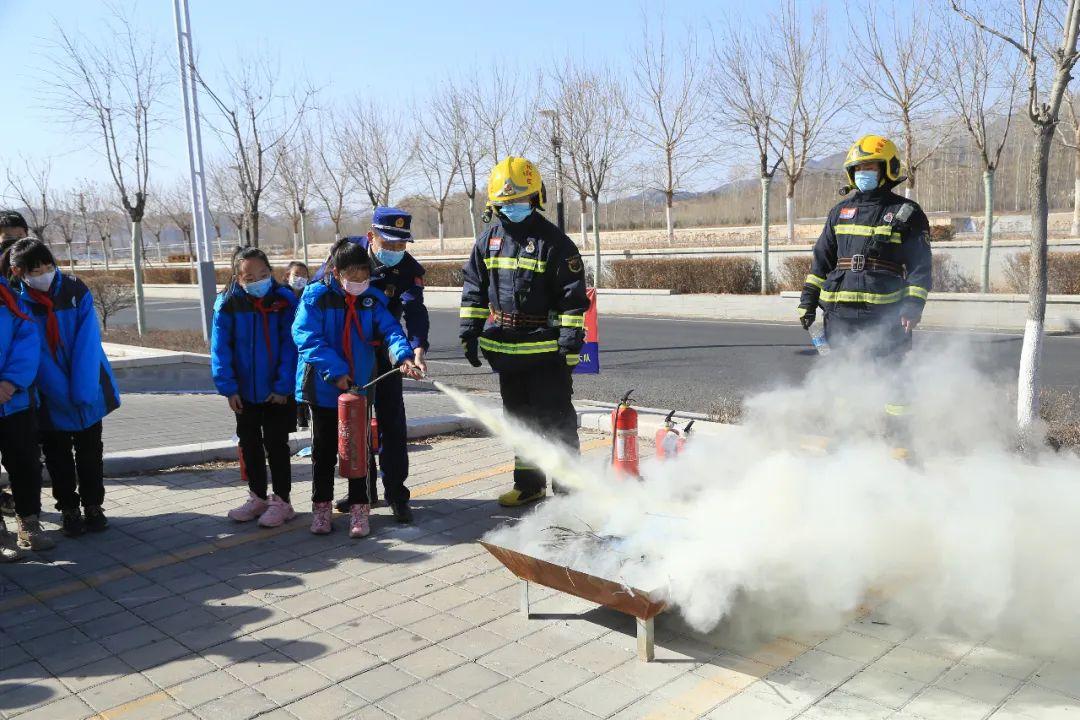 内蒙古小学开学最新动态，观点阐述与解析