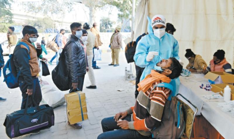 印度疫情最新疫苗动态与心灵平静之旅的探寻