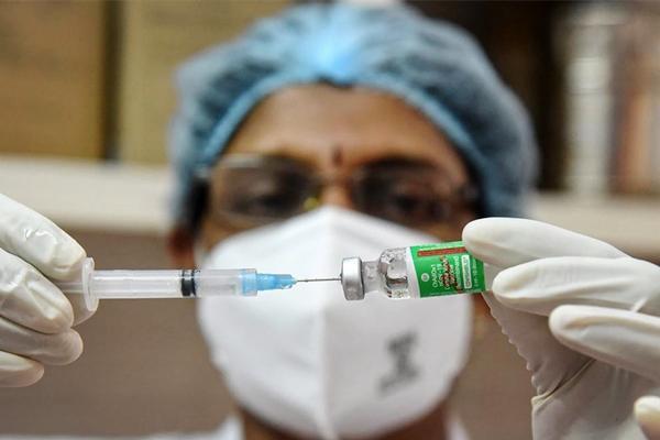 印度疫情最新疫苗情况