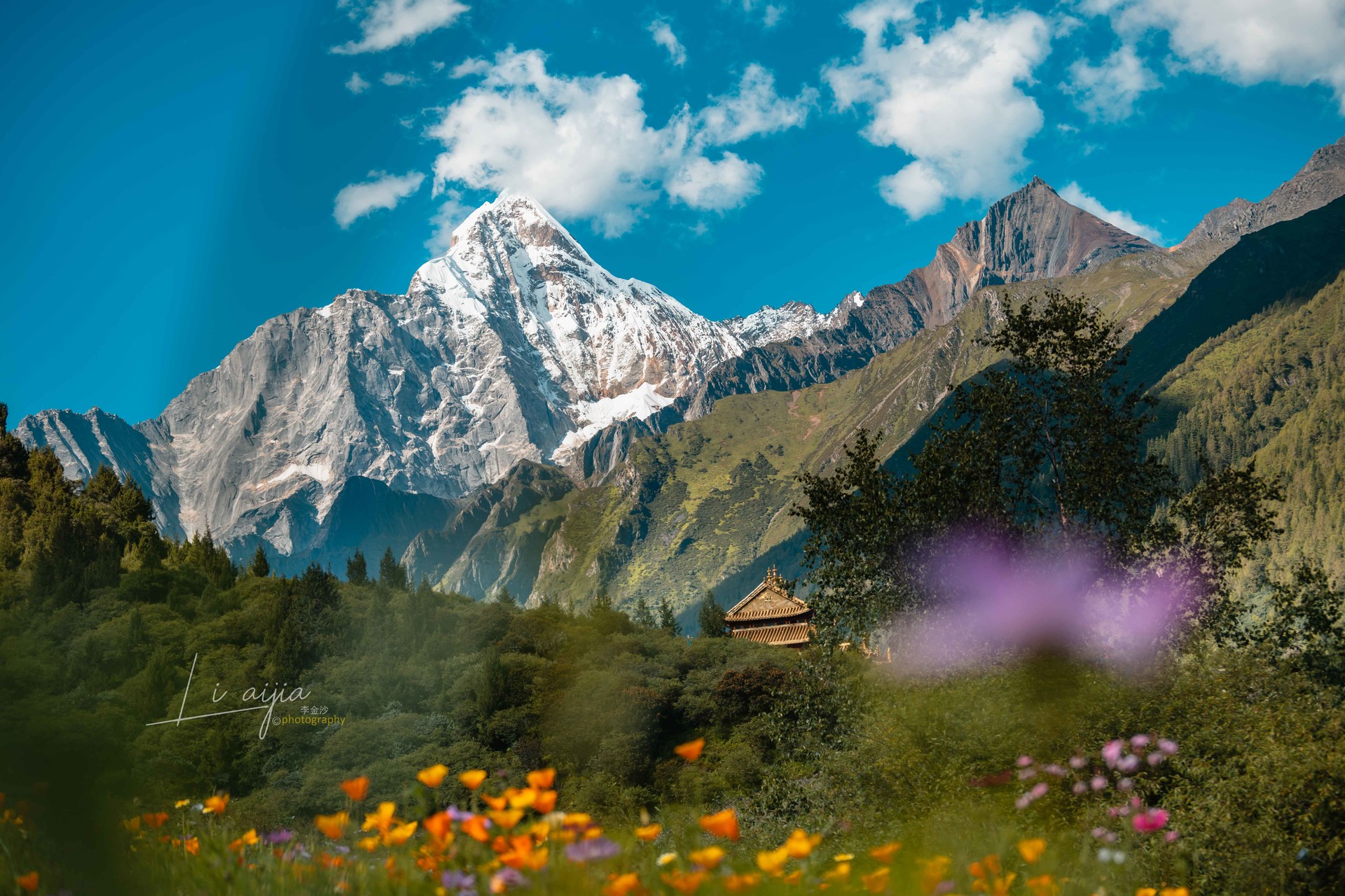 四姑娘山景区最新