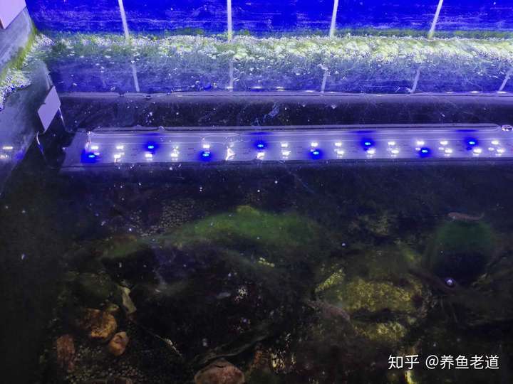 公路管理与养护 第238页