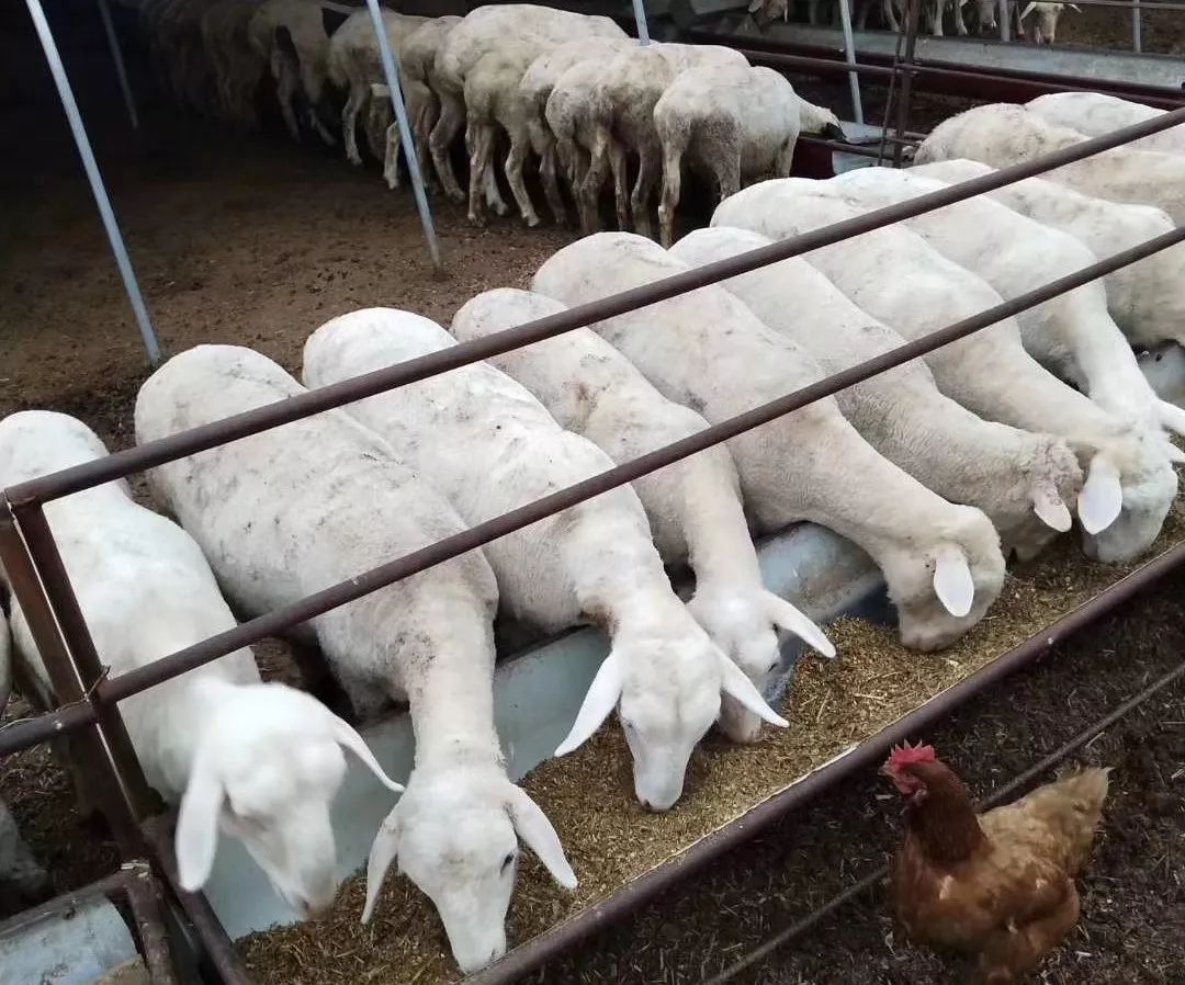 荣乌高速公路新线 第227页