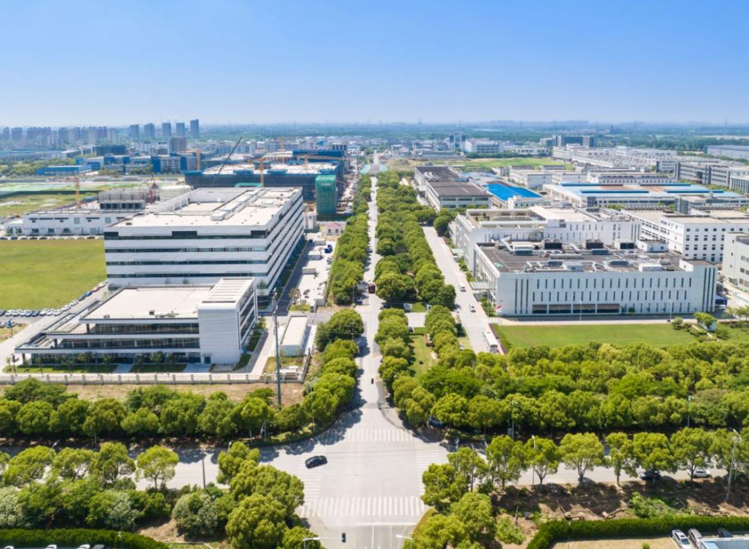 易德龙股票回溯历程，探析其地位与影响