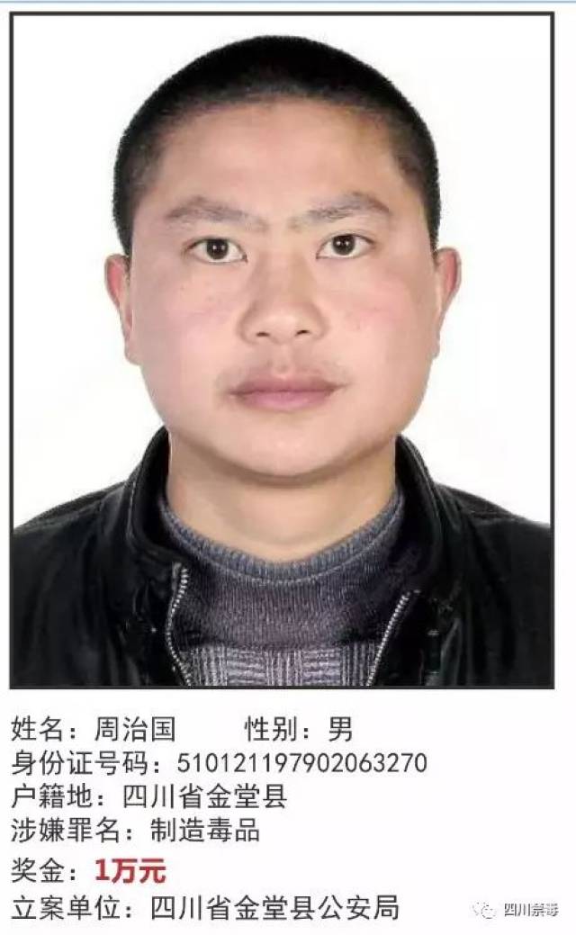 市政设施管理 第223页