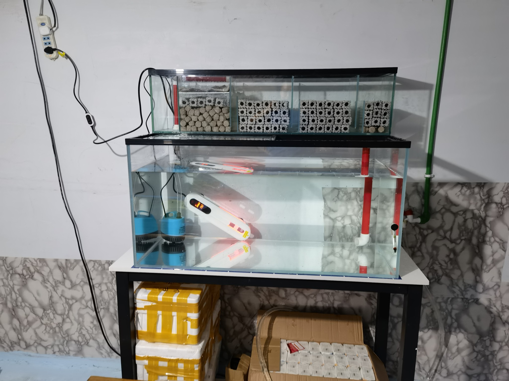 新型上滤鱼缸，革新双刃剑挑战市场