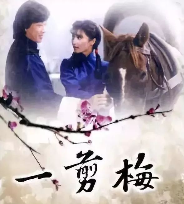 电视剧一剪梅演员表，经典角色的演绎者