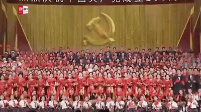 中国新歌声最新动态，时代音乐风潮与综艺热浪交织