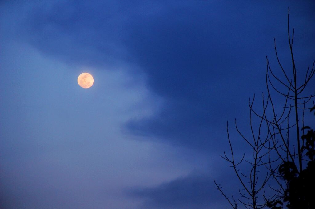 月明星稀图片,月明星稀图片，领略科技新品，体验未来生活
