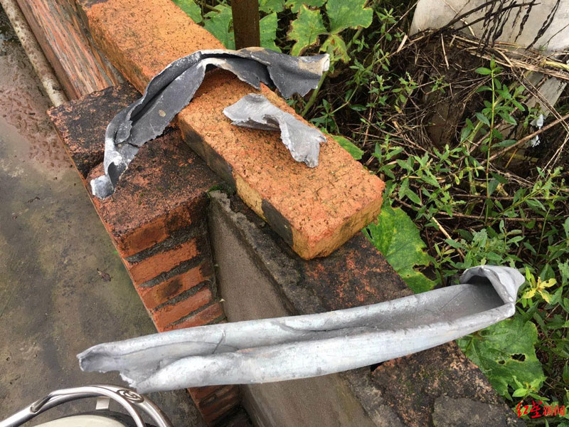 四川伊力集团最新动态揭秘，友情、家庭与陪伴的力量展现温馨日常