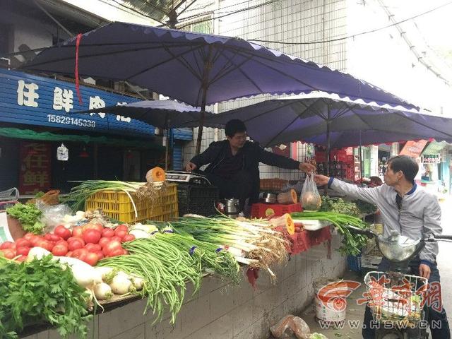 咸阳市场最新菜价揭秘，巷弄深处的绿色宝藏