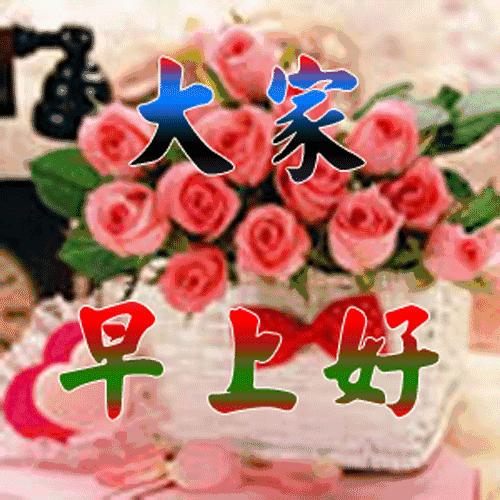 科技、社会与经济三大领域焦点探讨的最新动态