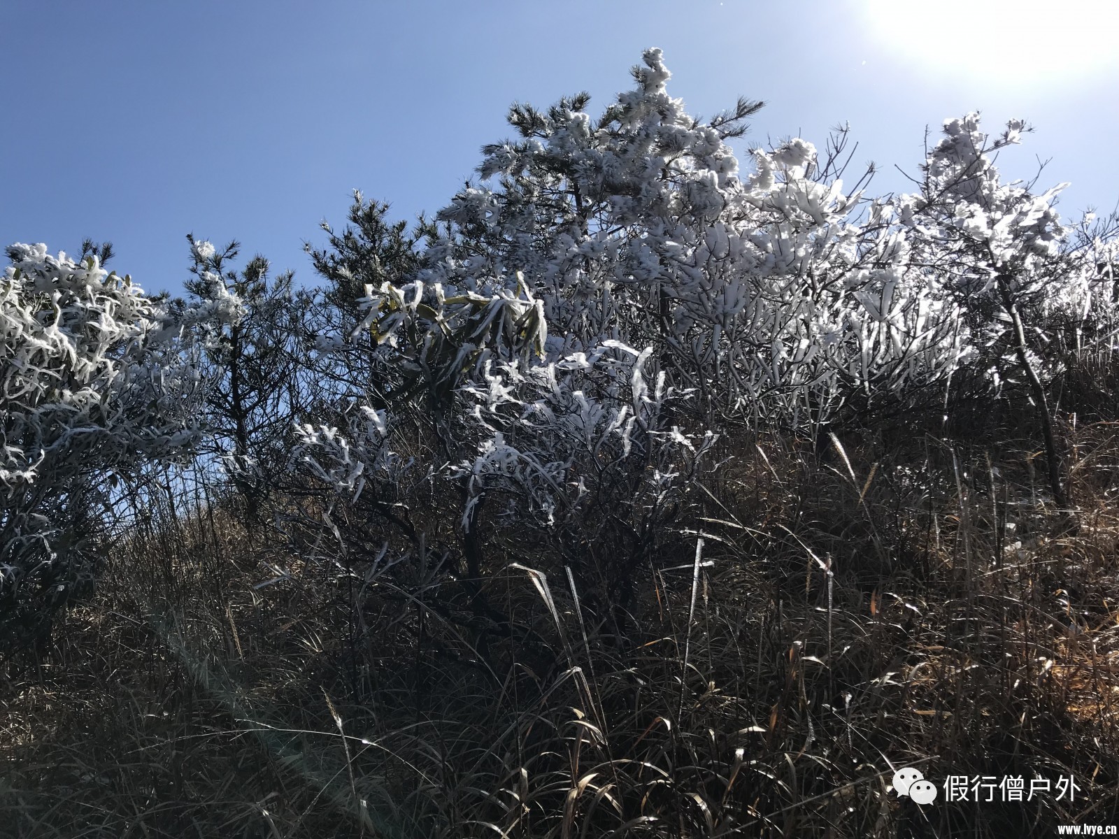 ＂新澳门一肖一特一中＂的：持续性实施方案_桌面款5.72