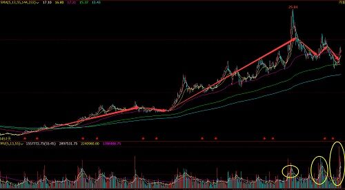 000338股票行情深度解析