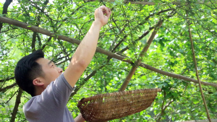 炎陵最新资讯一网打尽！