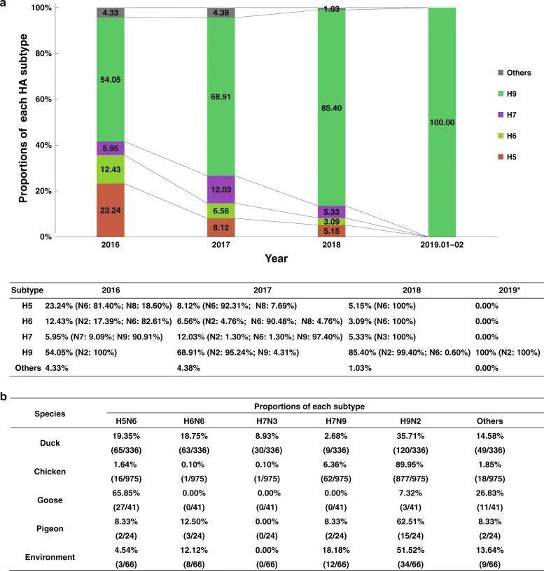 最新流感病毒动态，全面解析及应对策略