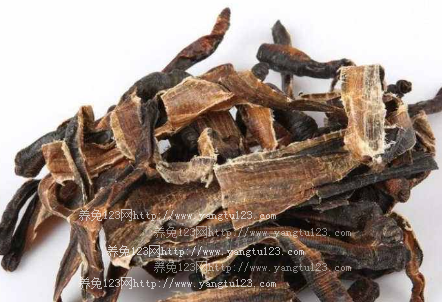 地龙价格揭秘，科技重塑生活，全新产品介绍与价格分析！