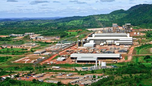 赞比亚最新动态，阳光下的温情日常