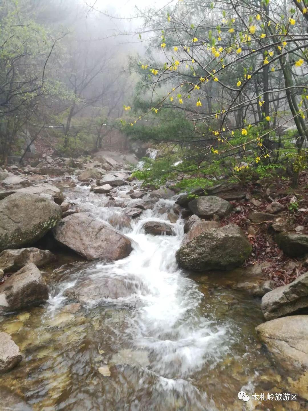 嵩县吧最新动态及观点阐述