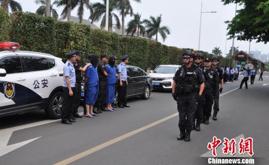 海南司机招聘信息探索，小巷中的职业风味探索