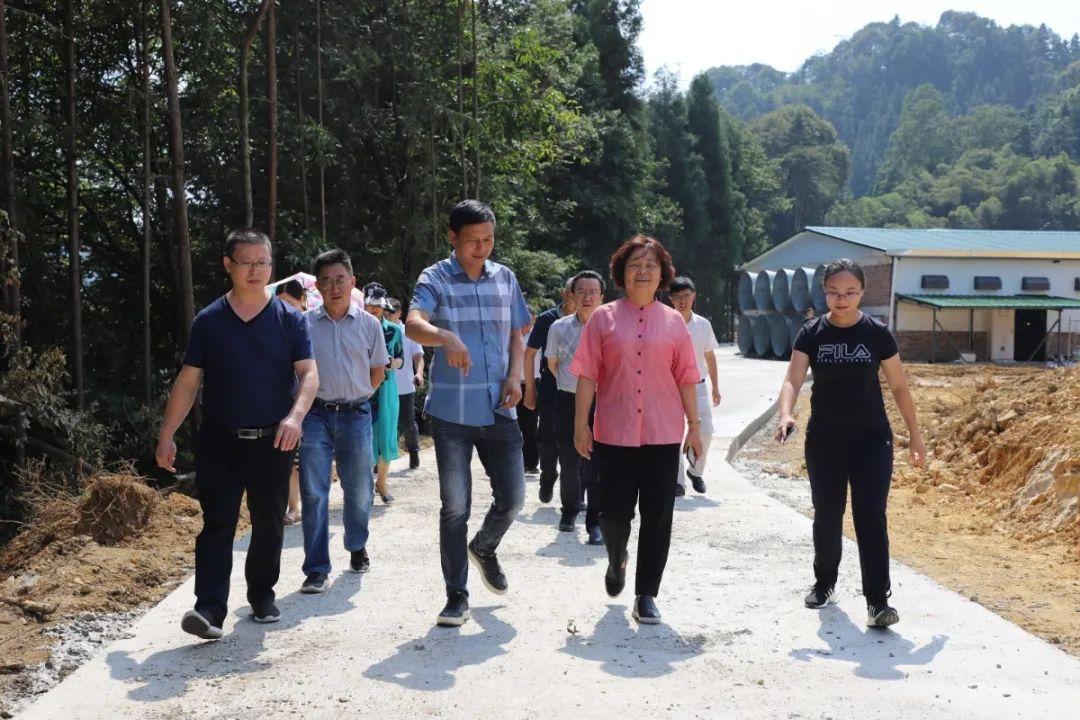 公路管理与养护 第110页