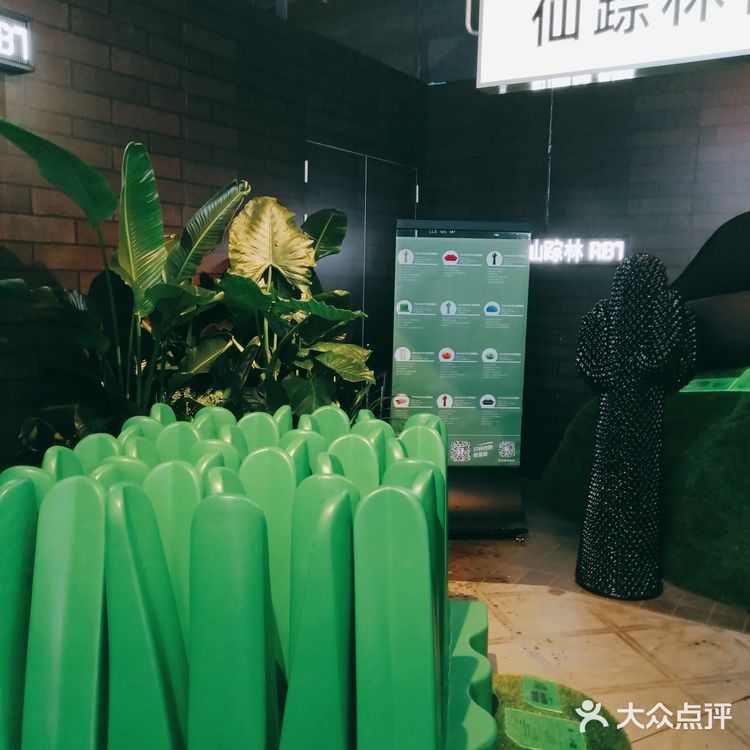 仙踪林新址揭晓，值得一游吗？欢迎光临探索！