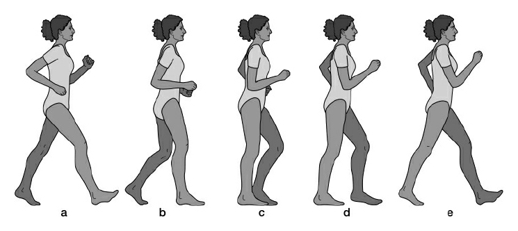 “最新步态锻炼方法”,最新步态锻炼方法，一场探索自然美景的旅行