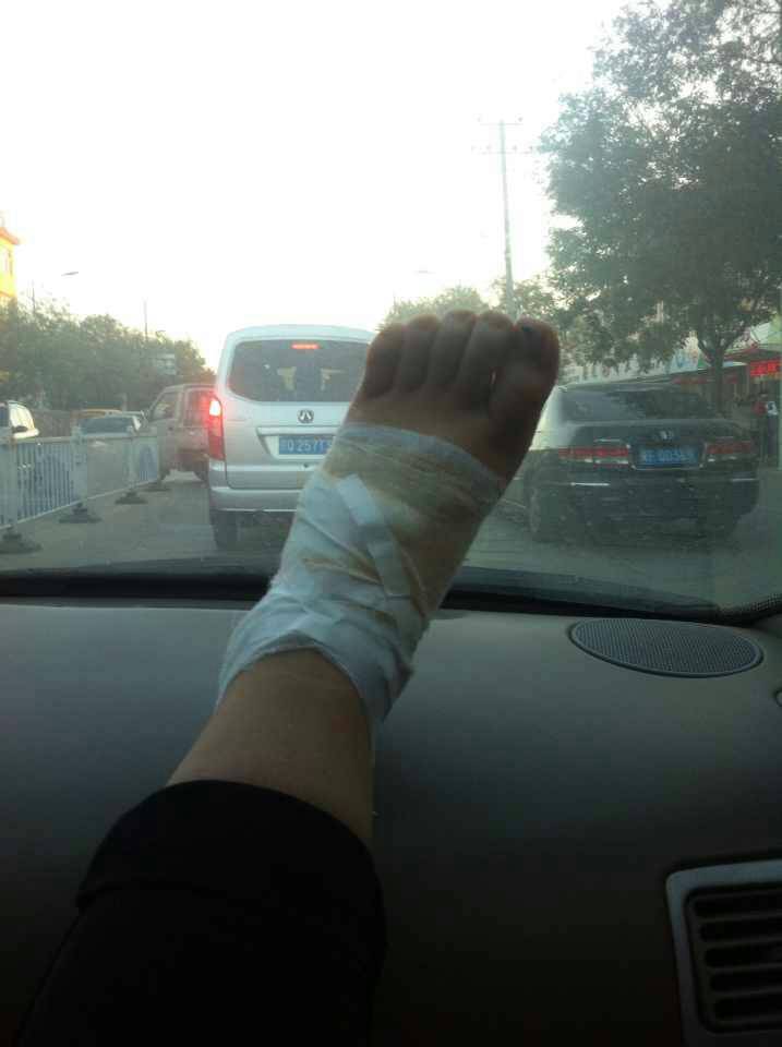 市政设施管理 第96页