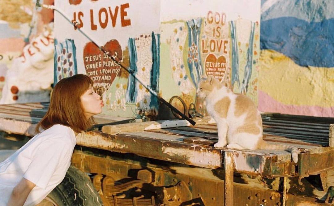 李圣经ins动态,李圣经的Ins动态，一场自然美景的探索之旅，寻找内心的平和与宁静