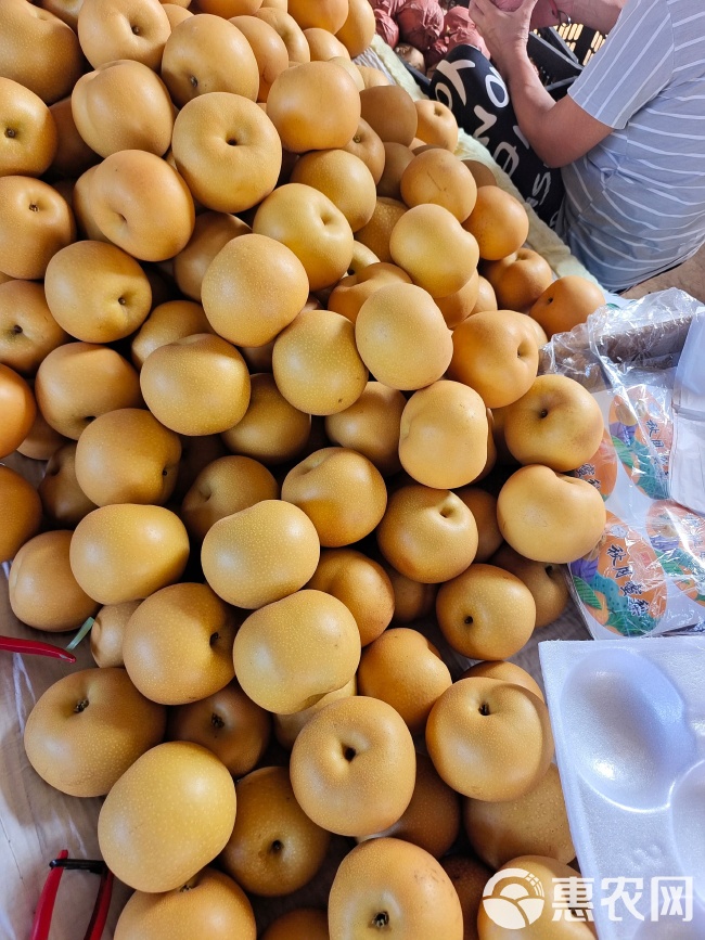 荣乌高速公路新线 第84页