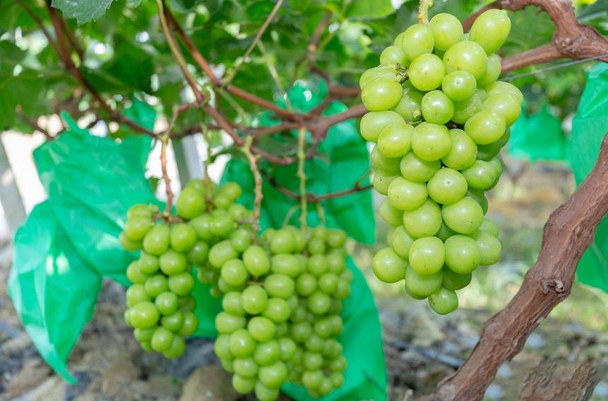 问界最新价格调整揭晓，你掌握最新动态了吗？