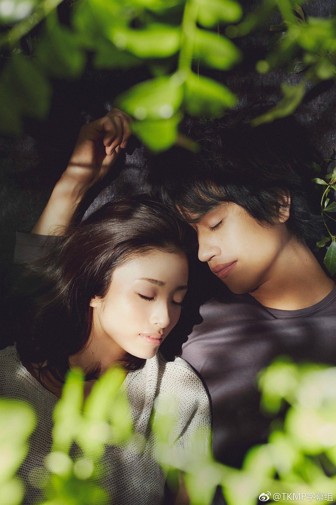 昼颜电影版,昼颜电影版，深度解读这份禁忌之恋