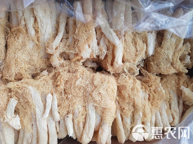 古田竹荪行情深度解析，探寻珍稀食材兴衰脉络