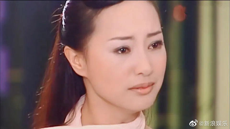 演员陆子，演艺之路的闪耀之星