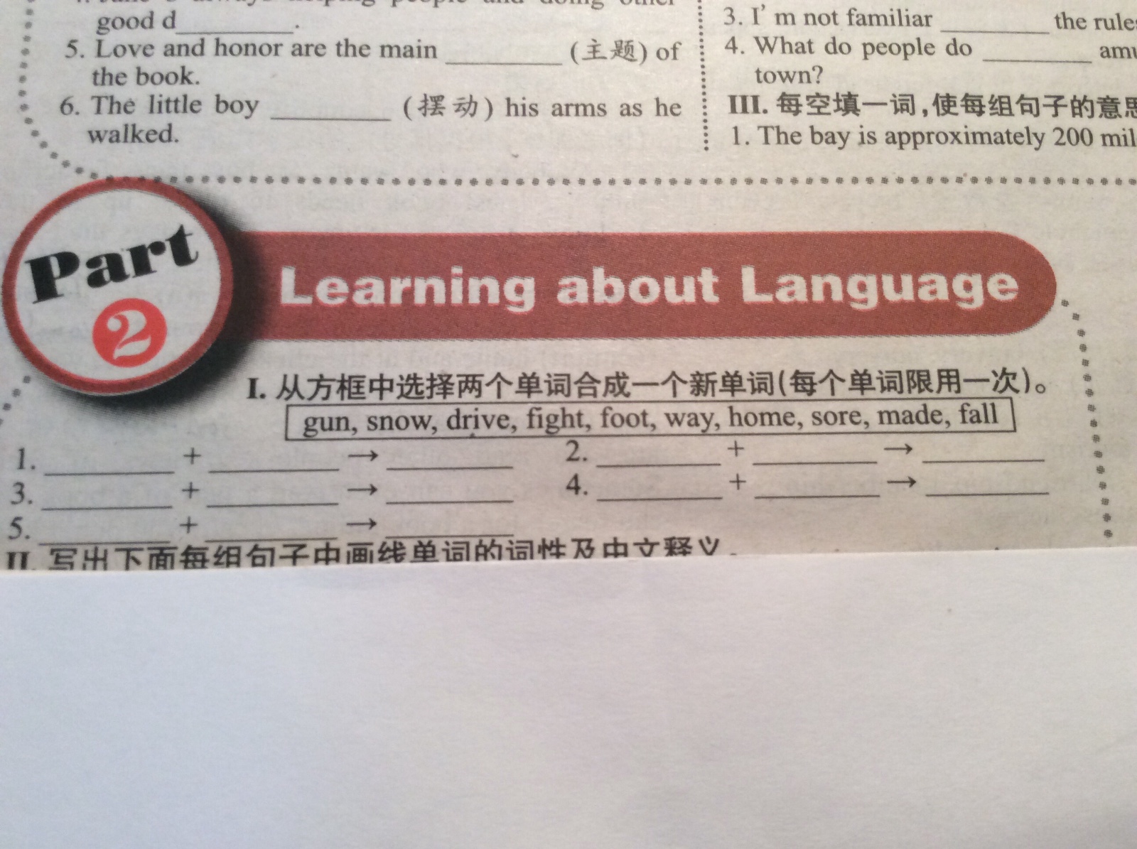 深度探讨，最新组合词汇与语言创新现象