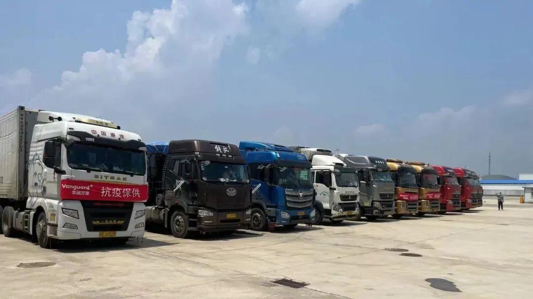 丹东最新疫情,丹东最新疫情，详细步骤指南