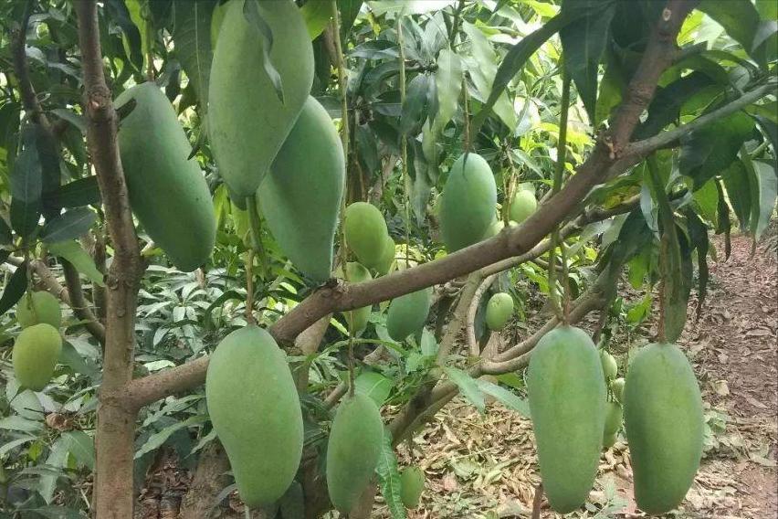 荣乌高速公路新线 第45页