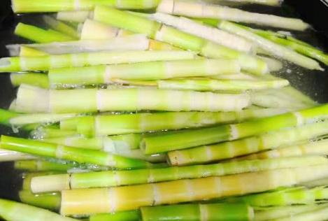 小竹笋上市，尝鲜竹笋美食，开启健康绿色生活之旅！